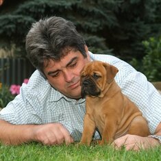 Continental Bulldog Bulldogman's Haja's Paula Continental Bulldog Bulldogman's Haja's Paula